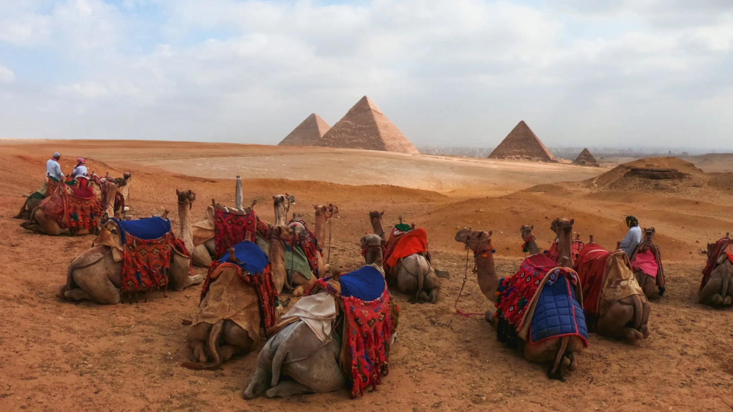 GoPro Enduro (Hero 13)