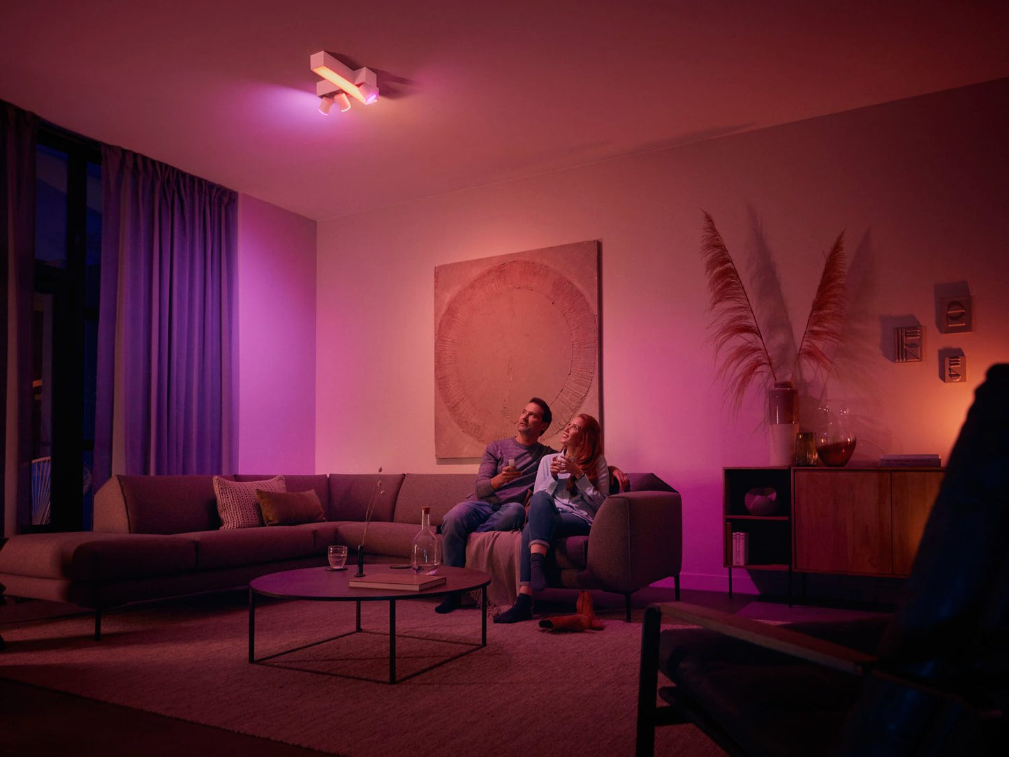 Philips Hue Dimmer Switch
