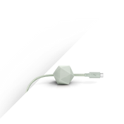 Native Union Desk Cable (USB-C to USB-C) (2.4m) - Sage