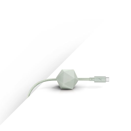 Native Union Desk Cable (USB-C to USB-C) (2.4m) - Sage