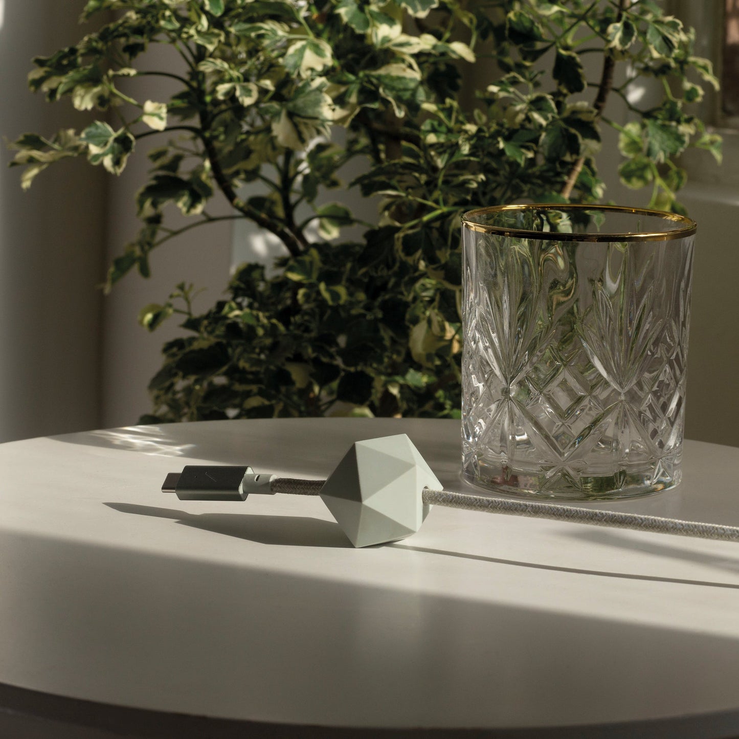 Native Union Desk Cable (USB-C to USB-C) (2.4m) - Sage