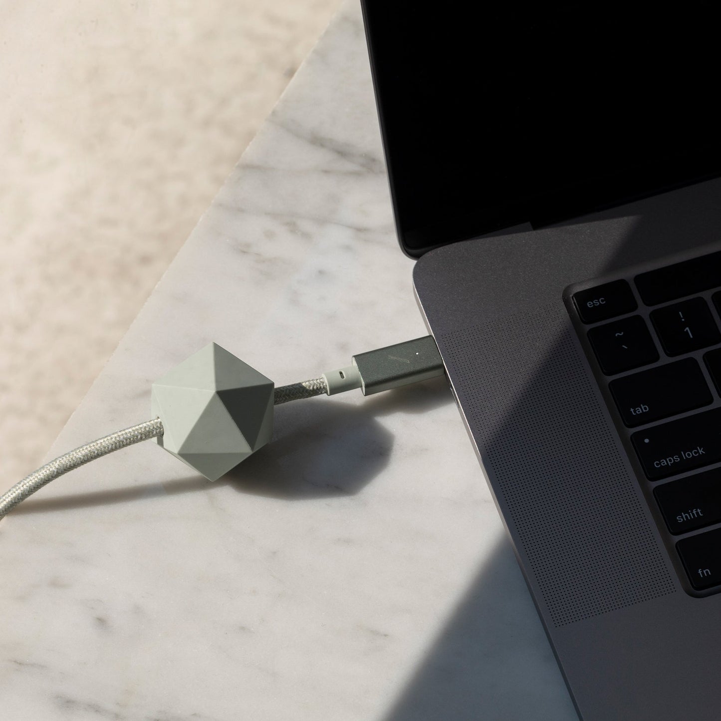 Native Union Desk Cable (USB-C to USB-C) (2.4m) - Sage