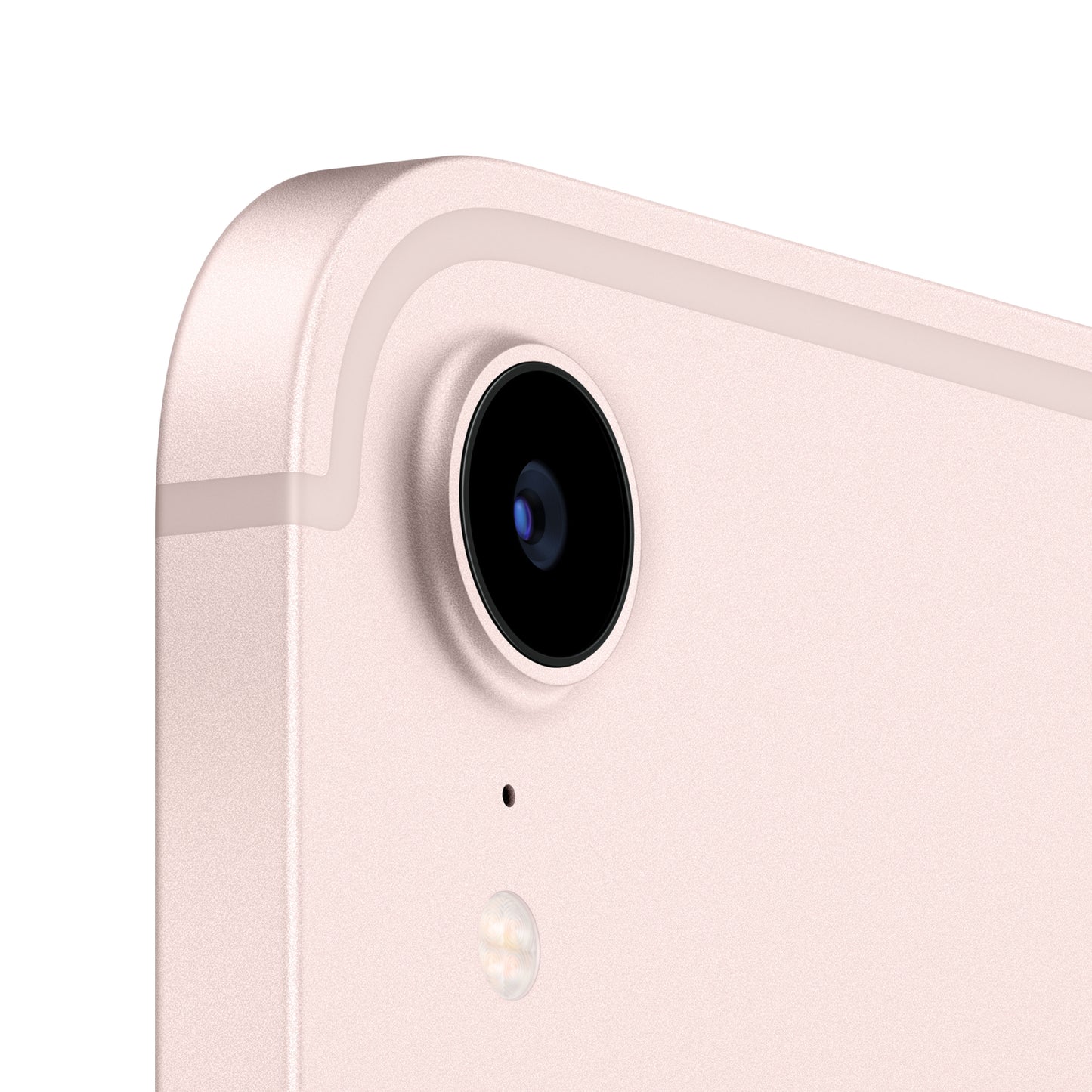 iPad mini Wi-Fi + Cellular 256GB - Pink