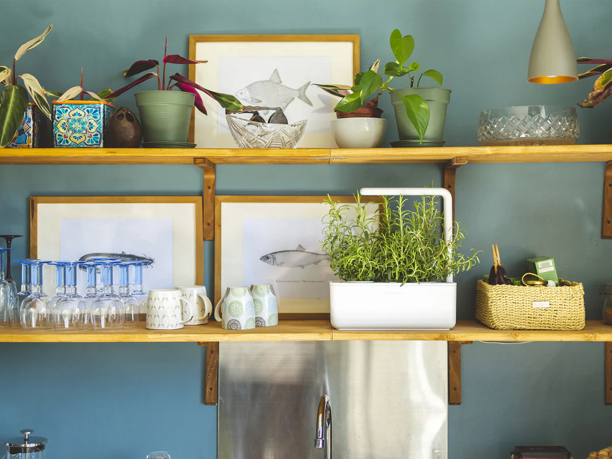 Click & Grow Smart Garden 3 - Beige