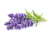 Click & Grow Lavender Plant Pods
