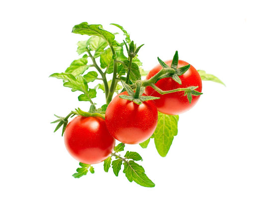 Click & Grow Mini Tomato Plant Pods