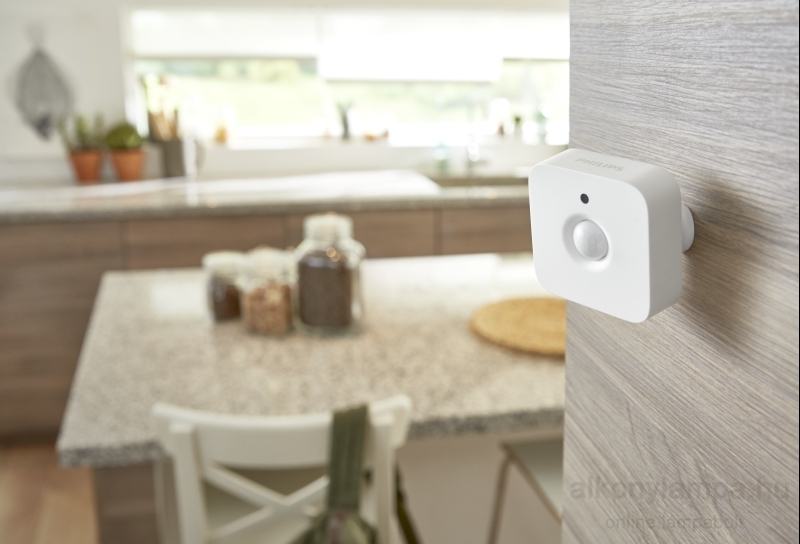 Philips Hue Motion Sensor