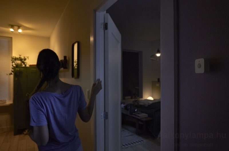 Philips Hue Motion Sensor
