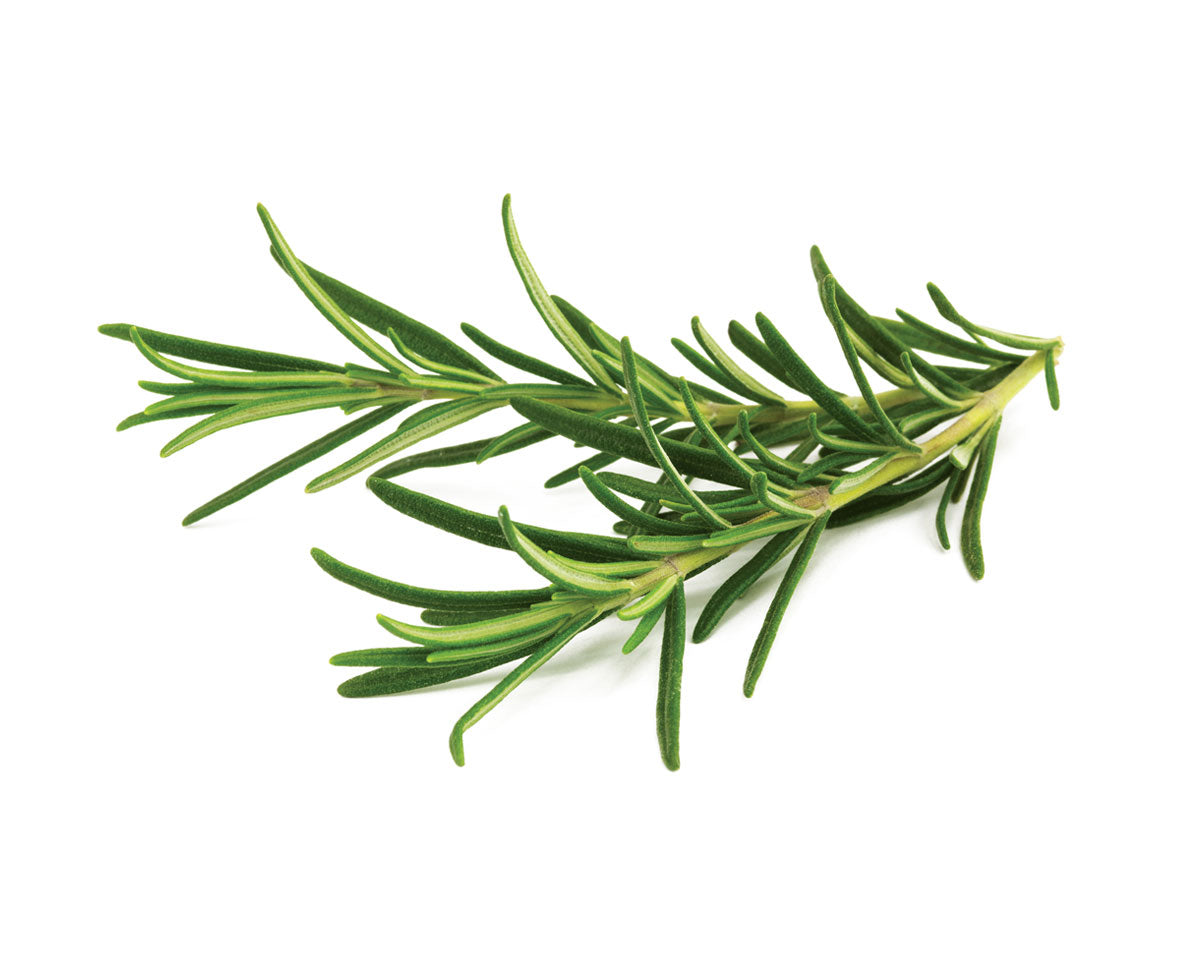 Click & Grow Rosemary Plant Pods