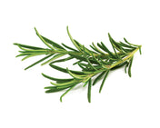 Click & Grow Rosemary Plant Pods
