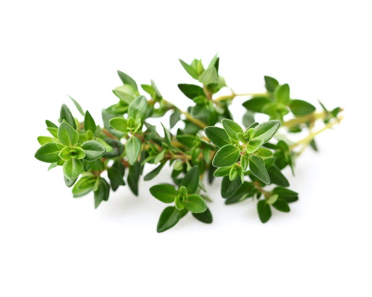 Click & Grow Thyme Plant Pods