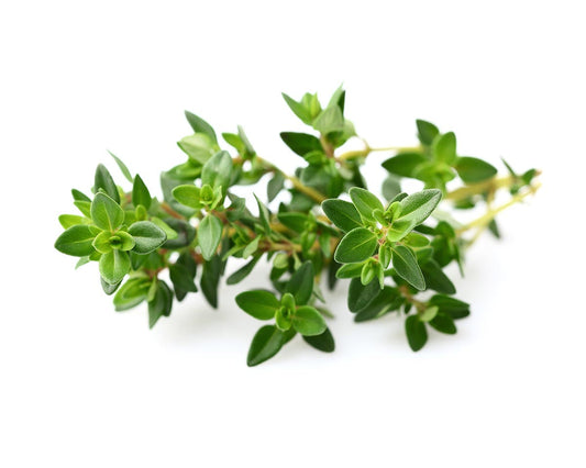 Click & Grow Thyme Plant Pods