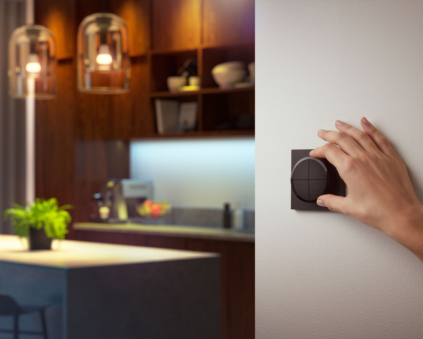 Philips Hue Tap dial switch - Black