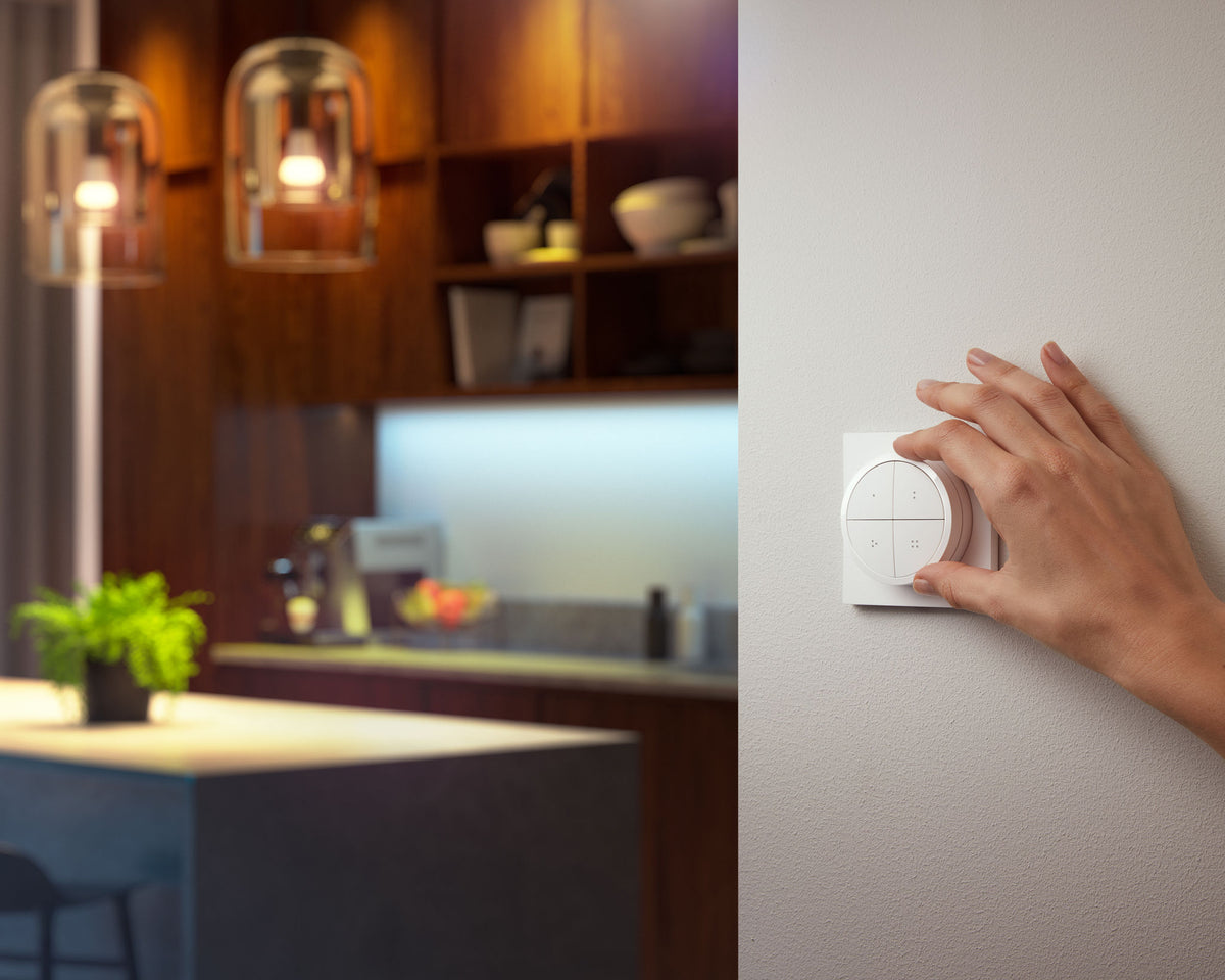 Philips Hue Tap dial switch - White