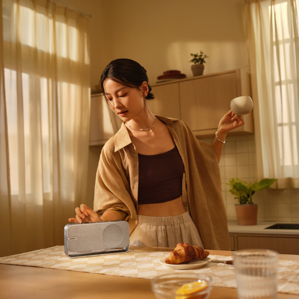 Bose SoundLink Home - Light Silver