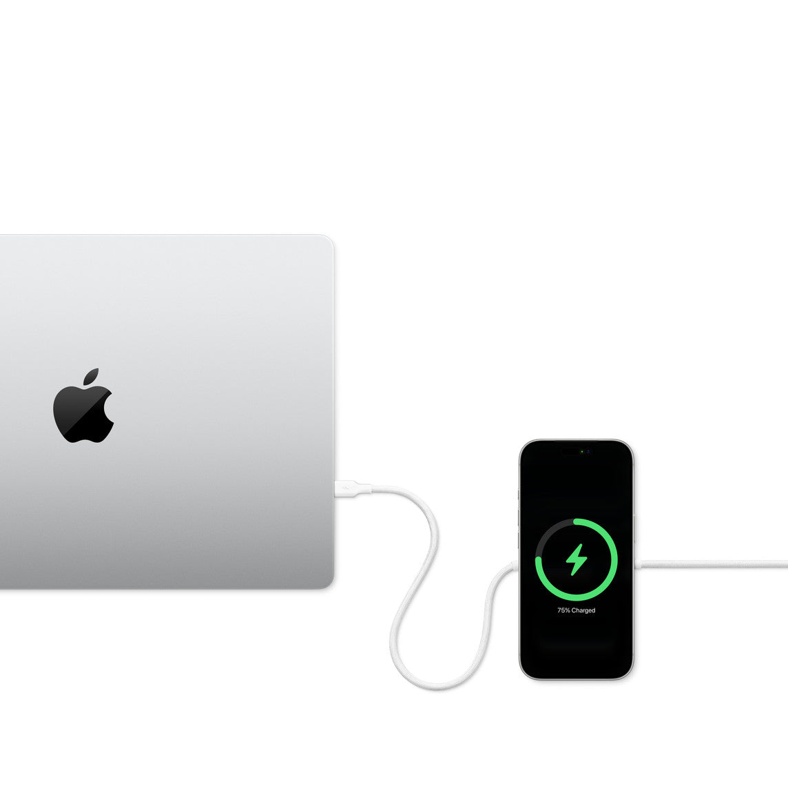 Zens Charging Cable USB C-C Pro 2 Black