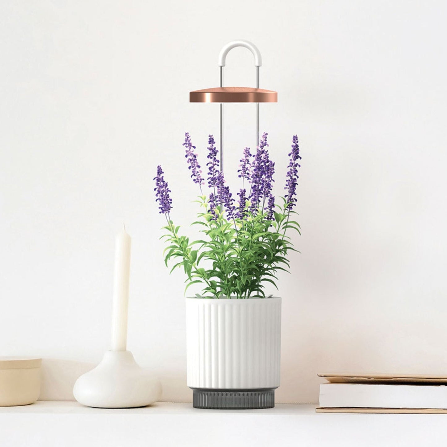 HydroVase by Ermonix - White