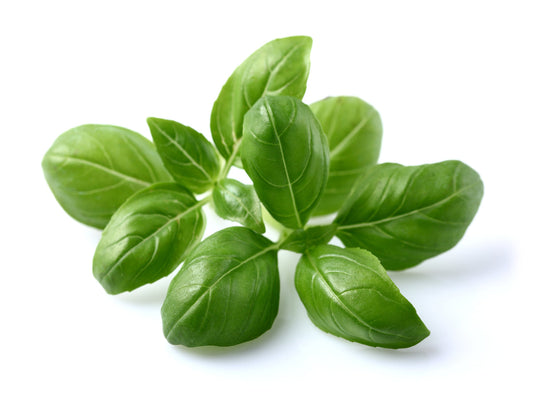 Click & Grow Basil Plant Pods