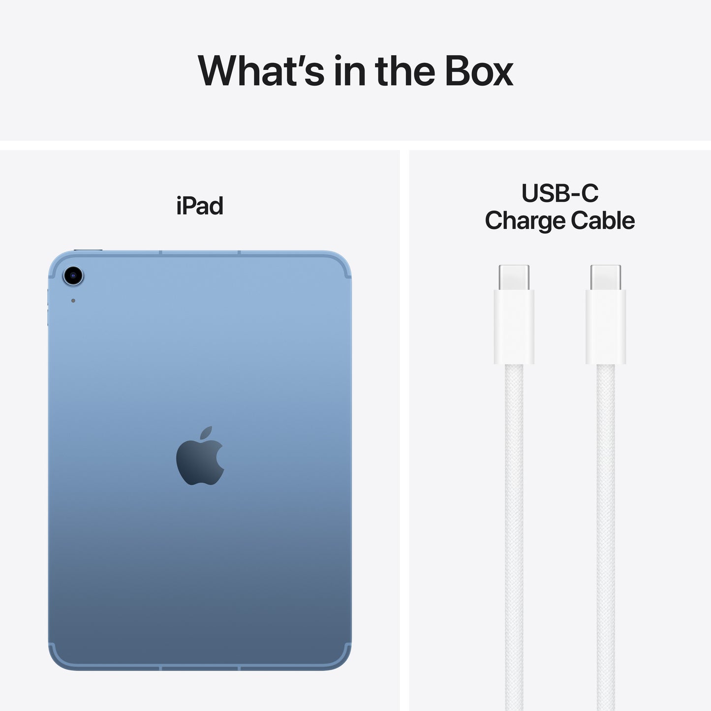 iPad Wi-Fi + Cellular 256GB - Blue (A16)
