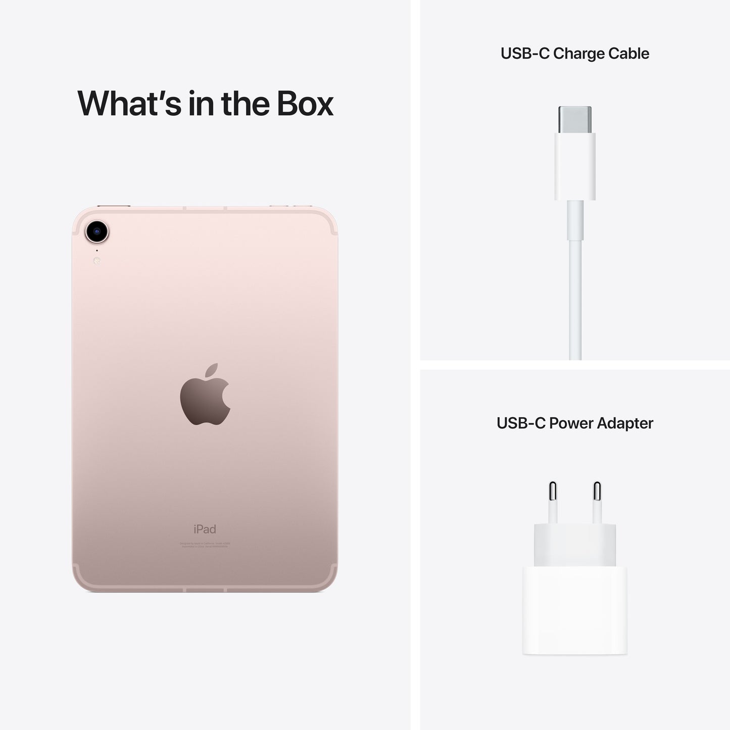 iPad mini Wi-Fi + Cellular 64GB - Pink