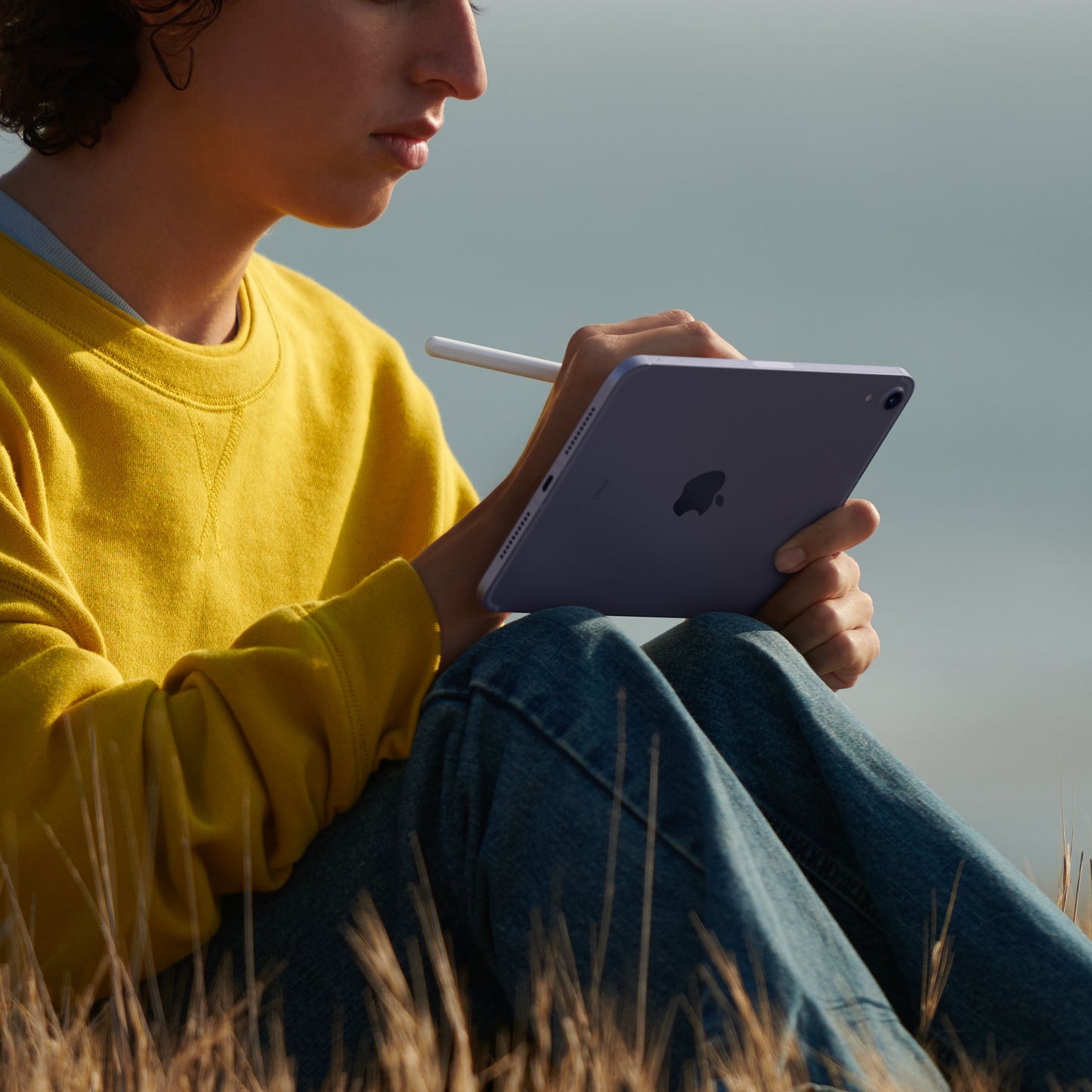 iPad mini Wi-Fi + Cellular 256GB - Starlight