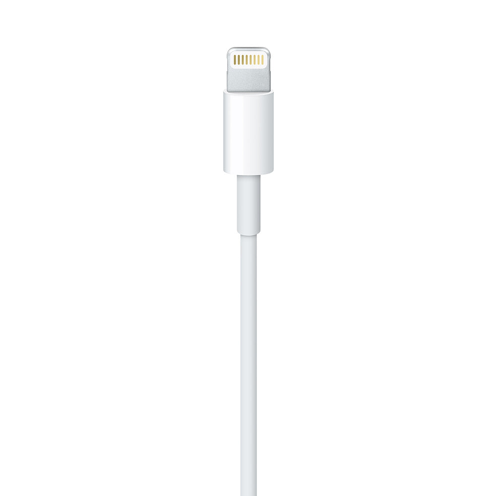 Lightning to USB Cable (1 m)