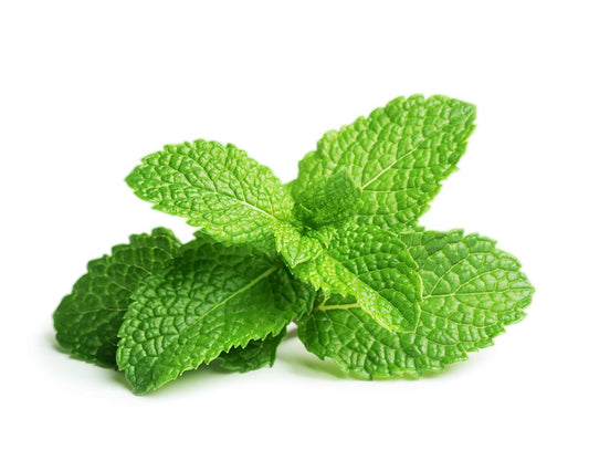 Click & Grow Peppermint Plant Pods
